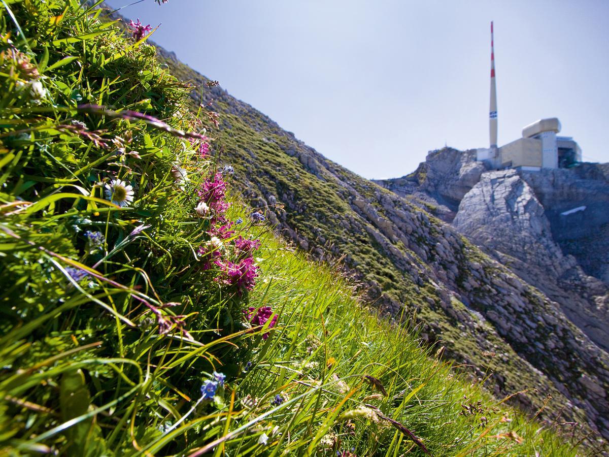 Saentis - Das Hotel Schwägalp Exterior foto